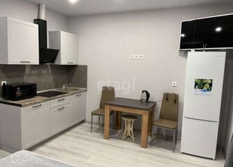 Сдается квартира студия, 30 м2, Краснодар, улица Григория Булгакова, 10, микрорайон Достояние