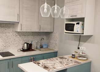 Сдается квартира студия, 23.3 м2, поселок Бугры, Нижняя улица, 5к1