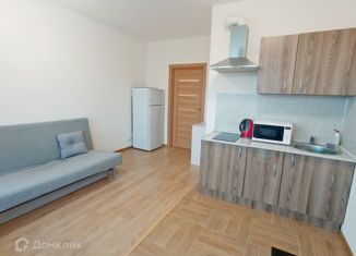 Квартира в аренду студия, 24 м2, поселок Бугры, Петровский бульвар, 27