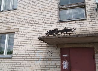 Продается 2-ком. квартира, 47.1 м2, деревня Емишево, Центральная улица, 5