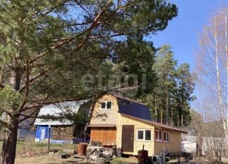 Продам дом, 54 м2, СНТ Сосновый Бор, СНТ Сосновый Бор, 13