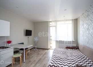 Квартира на продажу студия, 26 м2, Новосибирск, Рябиновая улица, 14/1, Рябиновая улица
