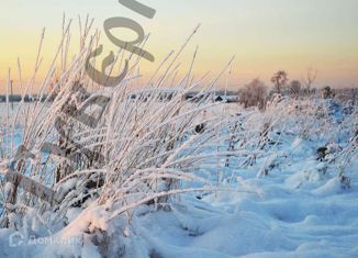 Земельный участок на продажу, 30 сот., село Стрелецкое