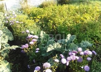 Продаю дом, 20 м2, посёлок Кусинские Печи, Солнечная улица