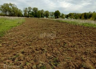 Земельный участок на продажу, 23.2 сот., деревня Ивашковичи