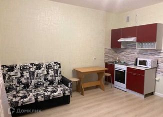 Квартира в аренду студия, 29 м2, Санкт-Петербург, Русановская улица, 19к3, ЖК Ласточкино Гнездо