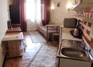 Продается квартира студия, 26 м2, Анапа, Северный переулок, 1, ЖК Алексеевский парк