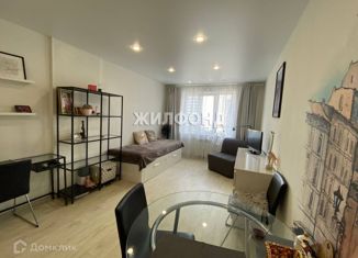 Продам квартиру студию, 27.6 м2, Новосибирск, Покатная улица, 130/1, Покатная улица