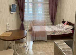 Продажа квартиры студии, 24 м2, Анапа, Владимирская улица, 142, ЖК Триумф