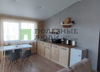 Продаю дом, 75 м2, деревня Шмагины, деревня Шмагины, 12