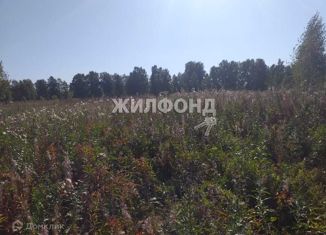 Продажа земельного участка, 8 сот., село Верх-Тула, Советская улица, 50А