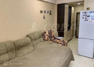 Продажа квартиры студии, 22.6 м2, село Краевско-Армянское, Измайловская улица, 59А