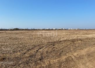 Участок на продажу, 200 сот., Молочненское сельское поселение