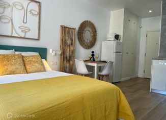 1-комнатная квартира на продажу, 26.4 м2, Краснодар, улица Красных Партизан, 1/4к7, микрорайон Славянский