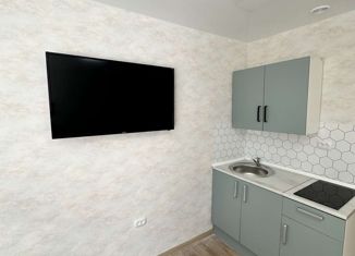 Продажа однокомнатной квартиры, 19.3 м2, Самара, улица Свободы, 183, Кировский район