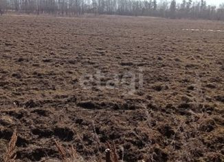 Продаю земельный участок, 20 сот., село Новопетровка