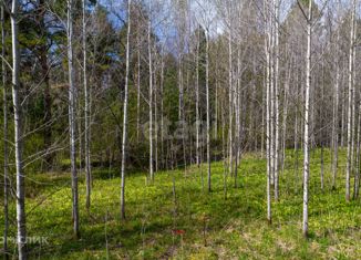 Продаю земельный участок, 6.1 сот., деревня Писарево
