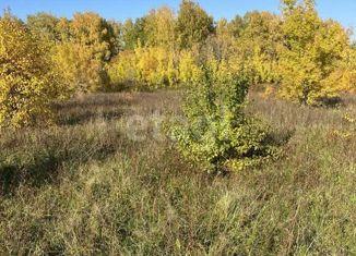 Продается участок, 305.8 сот., село Куюс, Центральная улица