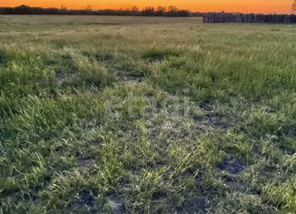 Продается земельный участок, 10 сот., деревня Тамьян, Ясная улица