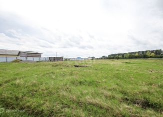 Продается земельный участок, 18 сот., деревня Сабанаки