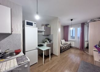 Квартира в аренду студия, 22 м2, Санкт-Петербург, ЖК Геометрия, Лыжный переулок, 4к3