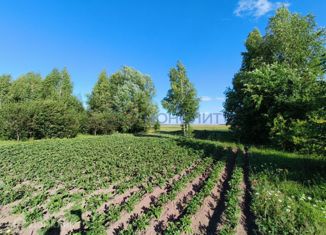 Продам участок, 15 сот., деревня Миснеры
