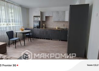 Аренда 1-ком. квартиры, 42 м2, Челябинск, улица Дмитрия Неаполитанова, 30