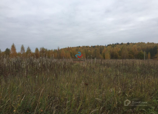 Продам участок, 15 сот., село Рогозинино, Солнечная улица, 21