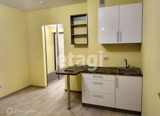 Сдам в аренду квартиру студию, 25 м2, Новосибирск, Железнодорожная улица, 15/1, метро Гагаринская