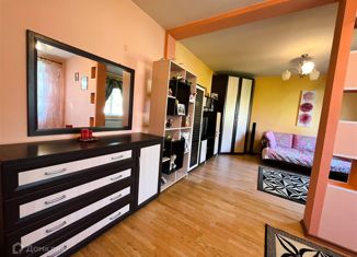 Продается 1-комнатная квартира, 30 м2, деревня Захонье-2, деревня Захонье-2, 43