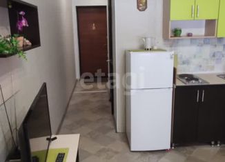 Аренда квартиры студии, 20.3 м2, Петрозаводск, улица Чапаева, 42А, район Перевалка