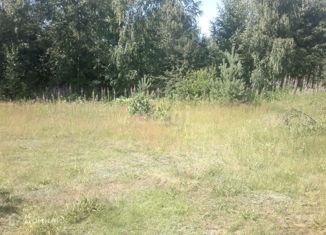 Продается участок, 6 сот., деревня Васильевское