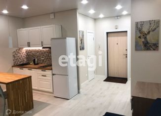 Квартира на продажу студия, 27.3 м2, Санкт-Петербург, Среднерогатская улица, 14к1, ЖК Фо Ю