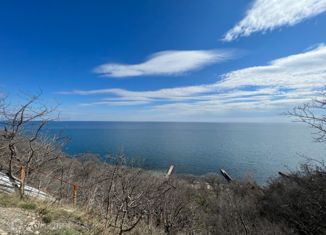 Продам земельный участок, 100 сот., село Лазурное, улица Головкинского, 1