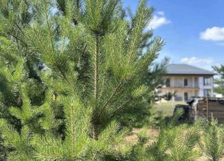 Продаю земельный участок, 10 сот., деревня Масленики