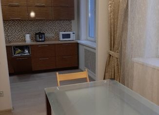 Сдается в аренду 2-ком. квартира, 52 м2, Санкт-Петербург, Туристская улица, 23к4, ЖК Гуси-лебеди