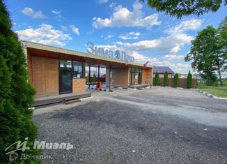 Дом на продажу, 110 м2, деревня Акишево, деревня Акишево, 92