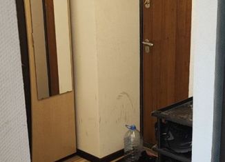 Продается 1-комнатная квартира, 29 м2, Нижний Новгород, Берёзовская улица, 89А, метро Буревестник