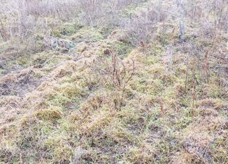 Продается земельный участок, 4.8 сот., ТСН СНТ Озёрное, Виноградная улица