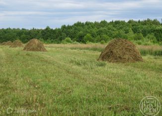 Продам участок, 660 сот., деревня Некрасово, 49Н-0120