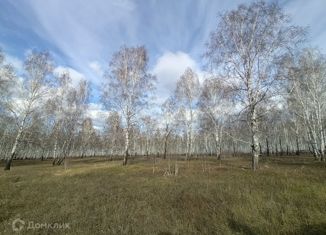 Продаю земельный участок, 9.3 сот., Полетаевское сельское поселение