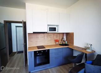 Сдается квартира студия, 24 м2, Санкт-Петербург, Среднерогатская улица, 13к1, ЖК Триумф Парк