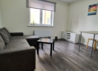 Сдам квартиру студию, 24 м2, Санкт-Петербург, проспект Королёва, 62