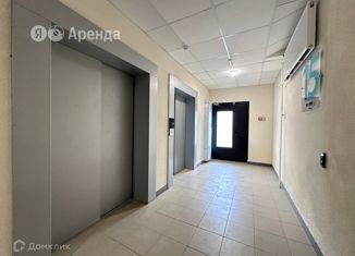 Квартира в аренду студия, 19 м2, Мурино, Воронцовский бульвар, 21к2
