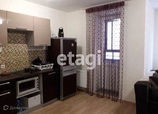 Сдается квартира студия, 27.4 м2, Кудрово, Пражская улица, 12, ЖК Весна-3