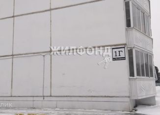 Продается 1-комнатная квартира, 37.8 м2, Новосибирск, Хилокская улица, 1Г, ЖК Хороший