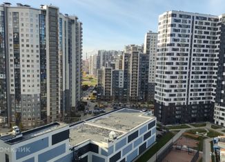 Продажа квартиры студии, 26 м2, Санкт-Петербург, Русановская улица, 24, муниципальный округ Народный