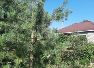 Продается дом, 56 м2, село Квасниковка, Колхозная улица, 104