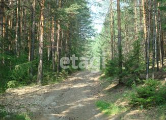 Продаю земельный участок, 20 сот., село Таватуй
