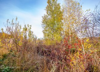 Продается участок, 12 сот., ДНТ Раздолье